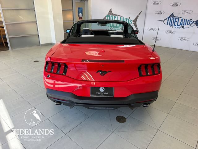 New 2026 Ford Mustang Premium w/ Mustang Nite Pony Package RWD image 7