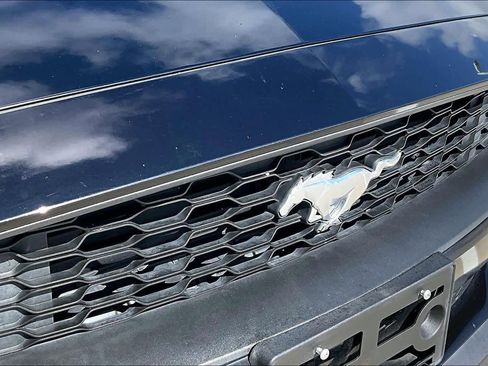 Used 2019 Ford Mustang Premium w/ Equipment Group 201A RWD image 24
