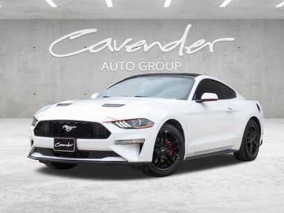 Used 2019 Ford Mustang Coupe w/ Equipment Group 101A