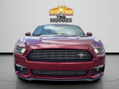 Used 2016 Ford Mustang Premium w/ Equipment Group 201A RWD image 12