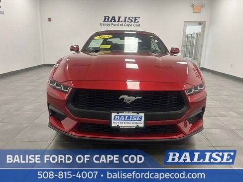 Used 2024 Ford Mustang Premium RWD image 2