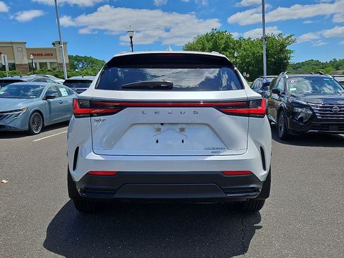 Used 2024 Lexus NX 350h AWD w/ Cold Area Package image 5