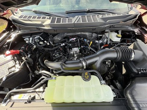 New 2025 Ford F150 STX w/ Equipment Group 201A FX4 image 16