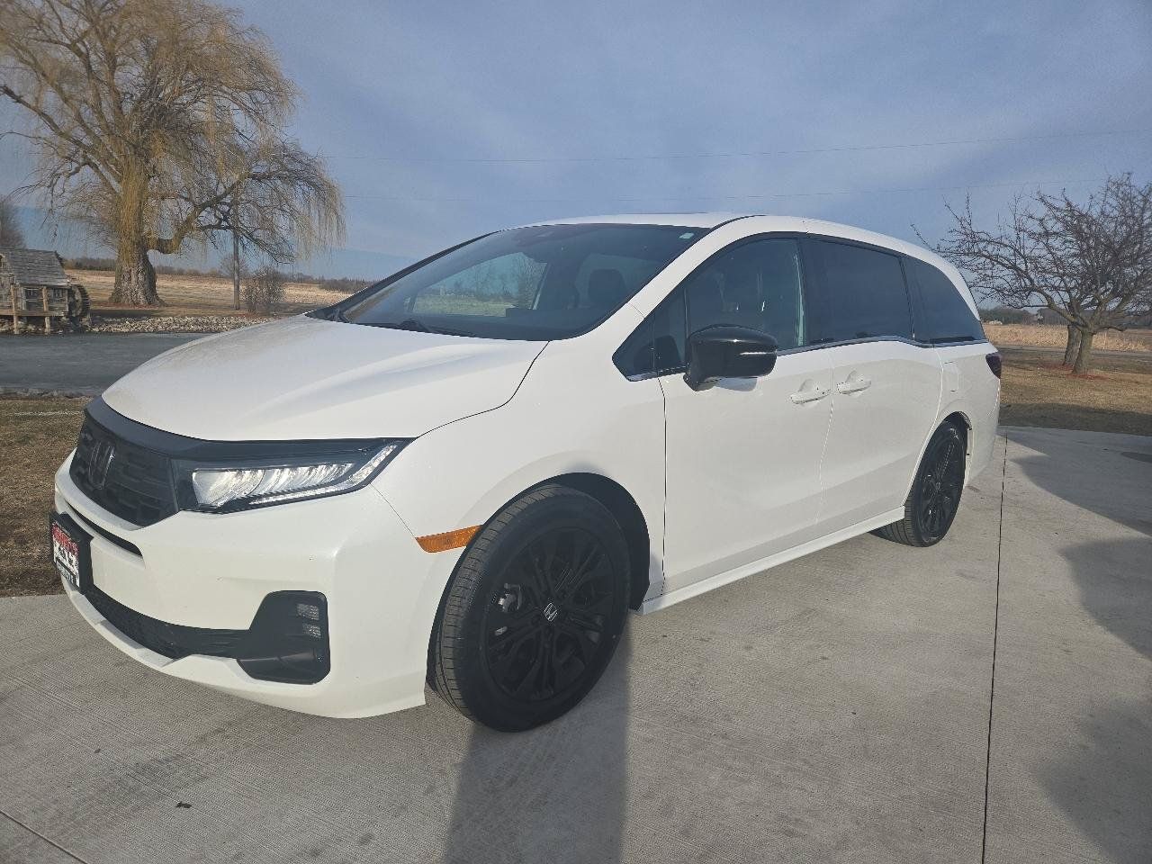 Used 2025 Honda Odyssey Sport-L image 1