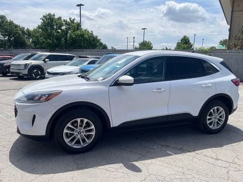 Used 2021 Ford Escape SE AWD/4WD image 2