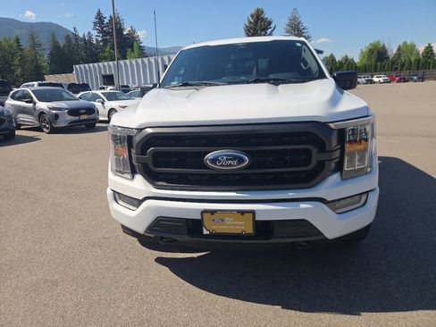 Used 2023 Ford F150 XLT w/ Equipment Group 302A High AWD/4WD image 3