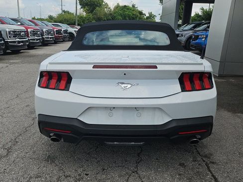 Used 2024 Ford Mustang Premium RWD image 4