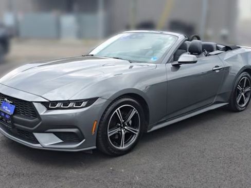 Certified 2025 Ford Mustang Premium RWD image 5