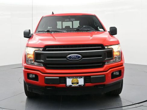 Used 2019 Ford F150 XLT w/ Equipment Group 302A Luxury image 3