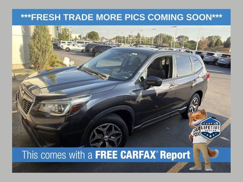 Used 2019 Subaru Forester Premium AWD/4WD image 1