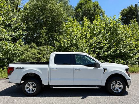 Used 2025 Ford F150 XLT w/ Equipment Group 301A Standard AWD/4WD image 5