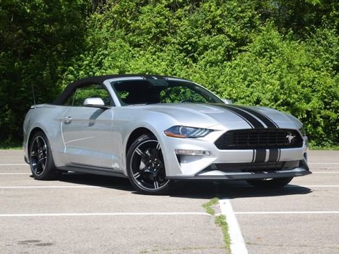 Used 2019 Ford Mustang GT Premium w/ California Special Package RWD image 1