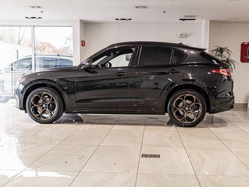 New 2025 Alfa Romeo Stelvio Sprint image 6