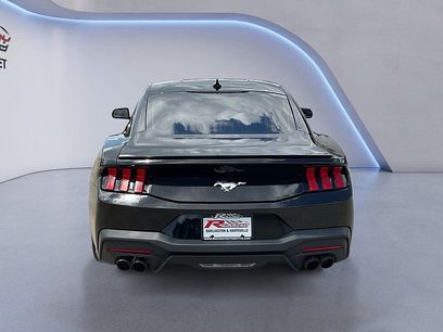 Used 2024 Ford Mustang Premium