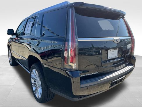 Used 2019 Cadillac Escalade Platinum RWD image 6