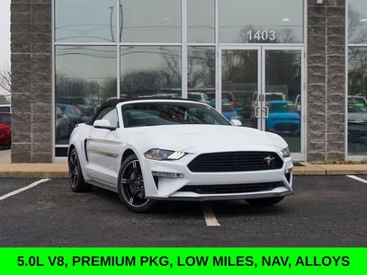 Used 2019 Ford Mustang GT Premium w/ Equipment Group 401A