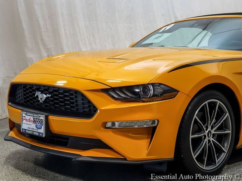 Used 2019 Ford Mustang Premium w/ Equipment Group 201A RWD image 4