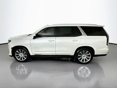 Used 2023 Cadillac Escalade Premium Luxury Platinum
