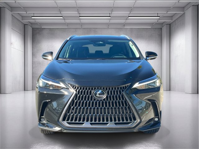 Certified 2026 Lexus NX 350 AWD w/ Premium Package image 8