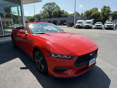 Used 2024 Ford Mustang Premium image 24