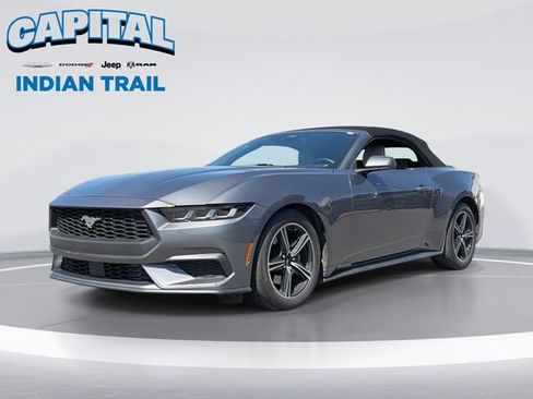 Used 2024 Ford Mustang Premium RWD image 1