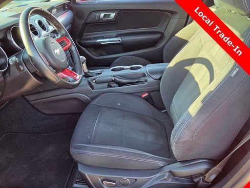 Used 2019 Ford Mustang EcoBoost w/ Equipment Group 101A image 32