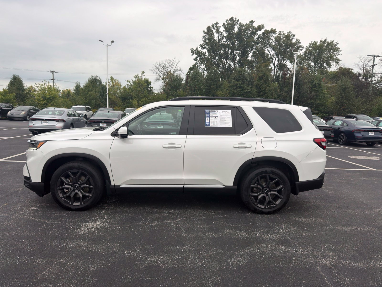 Used 2023 Honda Pilot Elite image 3