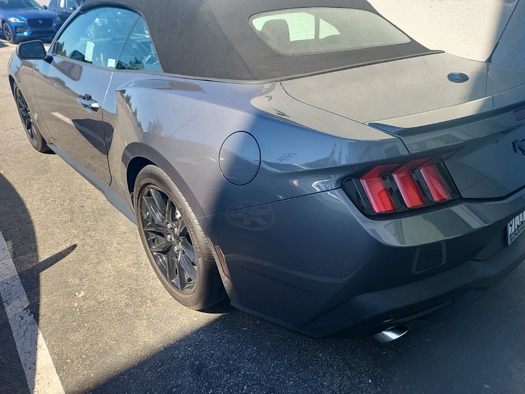 Used 2025 Ford Mustang Convertible w/ Mustang Nite Pony Package RWD image 6