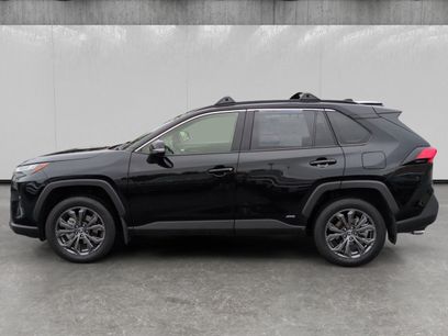 Used 2025 Toyota RAV4 XLE Premium w/ Weather Package