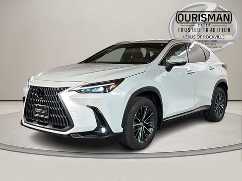 Certified 2024 Lexus NX 350 AWD w/ Cold Area Package image 2