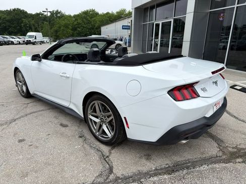 Used 2024 Ford Mustang Convertible RWD image 5