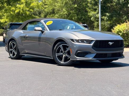 Used 2024 Ford Mustang Premium RWD image 2