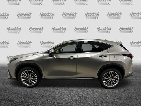 Used 2025 Lexus NX 350 AWD w/ Cold Area Package image 7