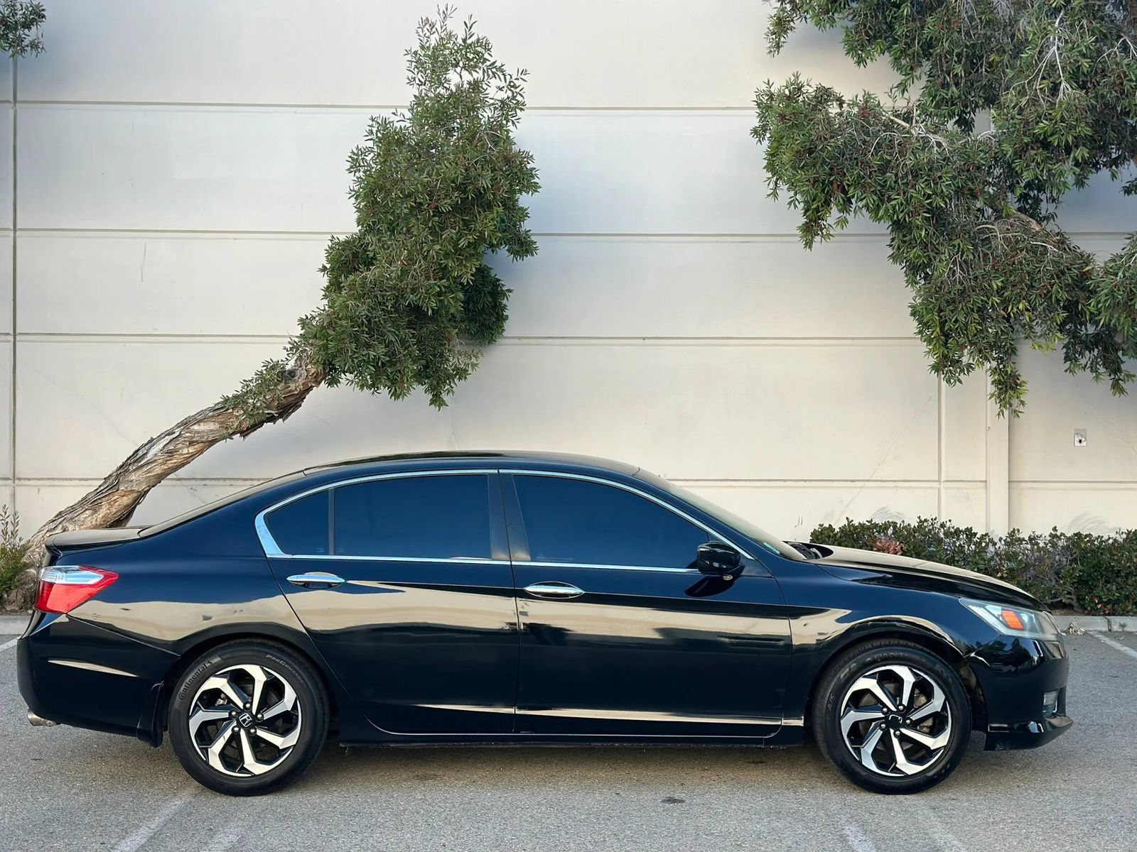 Used 2015 Honda Accord Sport image 5