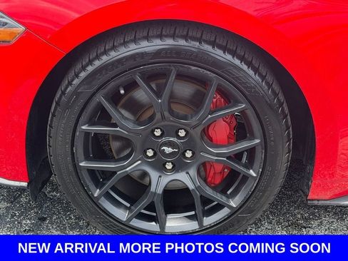 Used 2019 Ford Mustang Coupe w/ Ecoboost Performance Package RWD image 12
