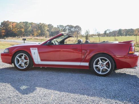 Used 1999 Ford Mustang Cobra RWD image 9