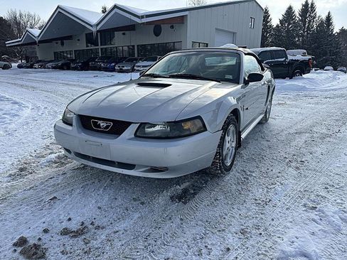 Used 2002 Ford Mustang Deluxe Convertible image 1
