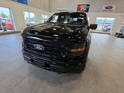 Used 2025 Ford F150 XLT w/ Equipment Group 302A MID