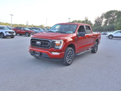 Used 2023 Ford F150 XLT w/ Equipment Group 302A High AWD/4WD image 3