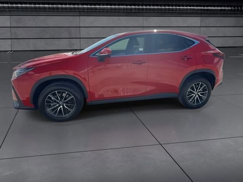 Certified 2024 Lexus NX 250 250 Premium image 5