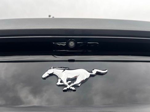 Used 2016 Ford Mustang Premium w/ Ecoboost Performance Package RWD image 13