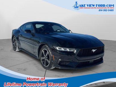 Used 2024 Ford Mustang Premium
