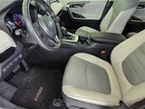 Used 2019 Toyota RAV4 XLE Premium image 6