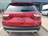Used 2020 Ford Escape SEL image 4