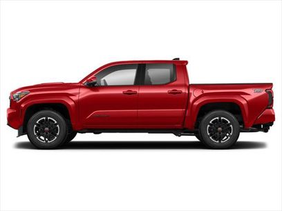 Certified 2024 Toyota Tacoma Limited w/ Limited Package (LT)