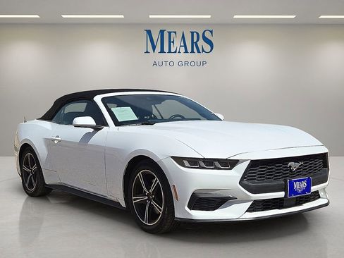 Used 2024 Ford Mustang Premium image 7