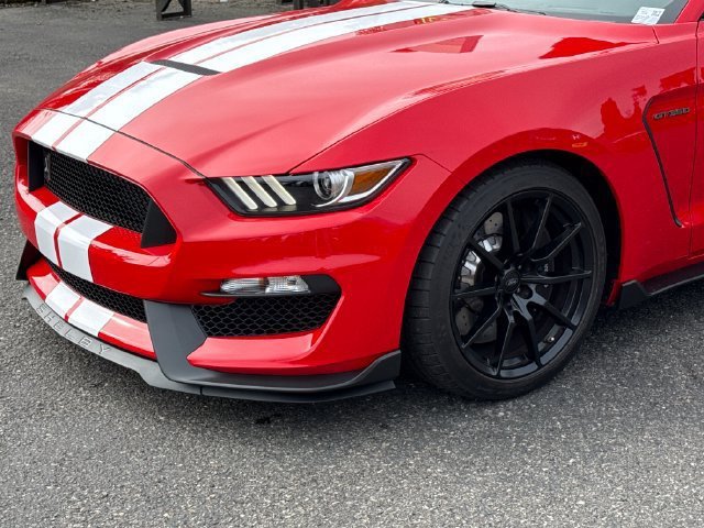 Used 2018 Ford Mustang Shelby GT350 w/ Convenience Package RWD image 6