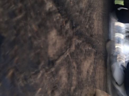 Used 2021 Toyota RAV4 Limited image 16