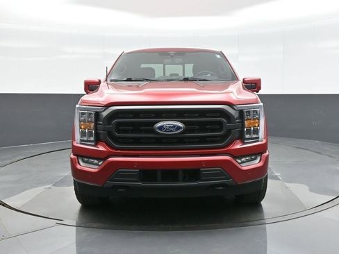 Used 2021 Ford F150 XLT w/ Equipment Group 302A High image 6