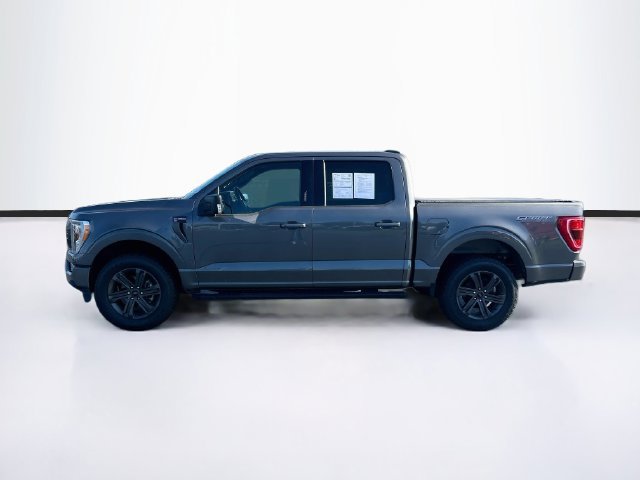 Certified 2023 Ford F150 XLT w/ Equipment Group 302A High AWD/4WD image 5